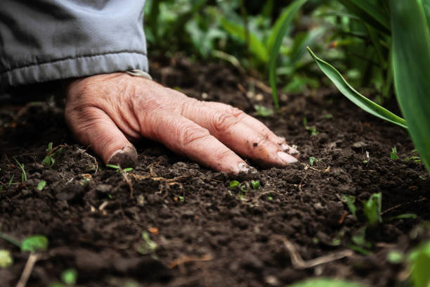 The Science of Touch: Why Handling Soil Reduces Stress and Boosts Mood