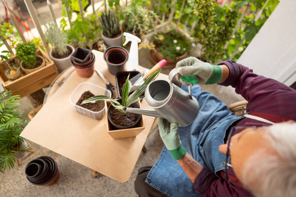 Why Overwatering Is More Common Than You Think