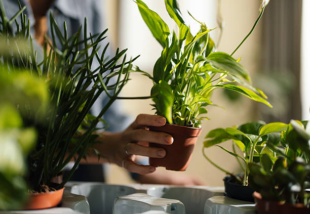 Why Thoughtful Care Matters More Than Perfect Conditions 