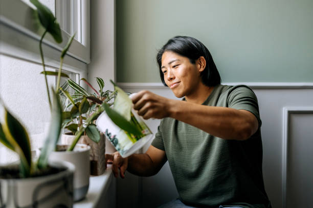 Why Water Softener Salt Damages Indoor Plants