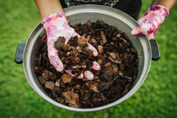 Your Ultimate Orchid Soil Mix Recipe Guide