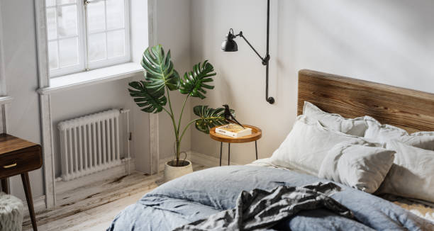 Bedroom Bliss: Plants That Clean Your Air While You Sleep