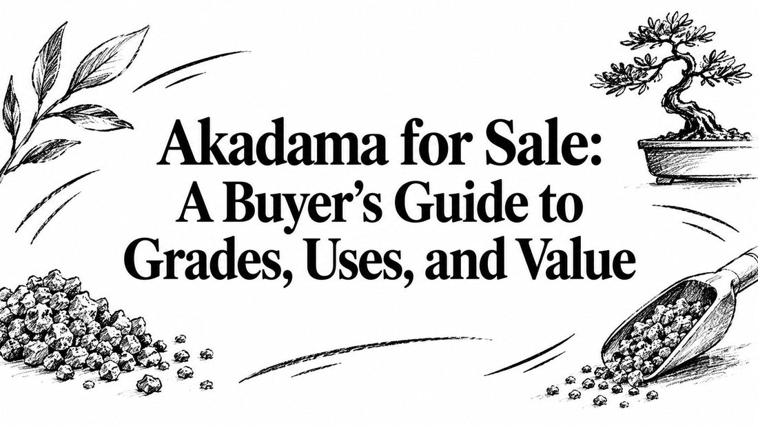 Akadama for Sale: A Buyer's Guide to Grades, Uses, and Value