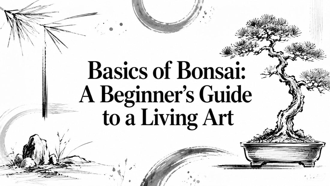 Basics of Bonsai: A Beginner's Guide to a Living Art