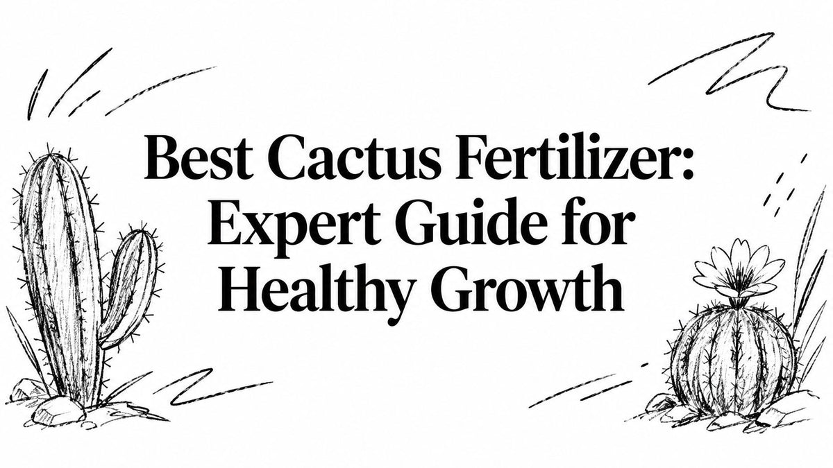 Best Cactus Fertilizer: Expert Guide for Healthy Growth