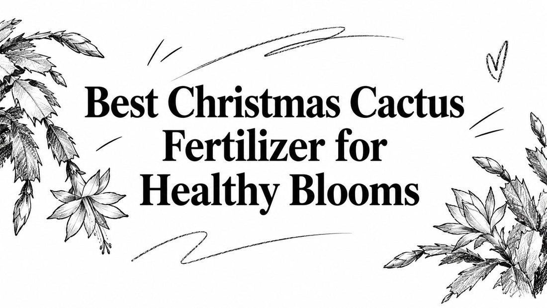 Best Christmas Cactus Fertilizer for Healthy Blooms