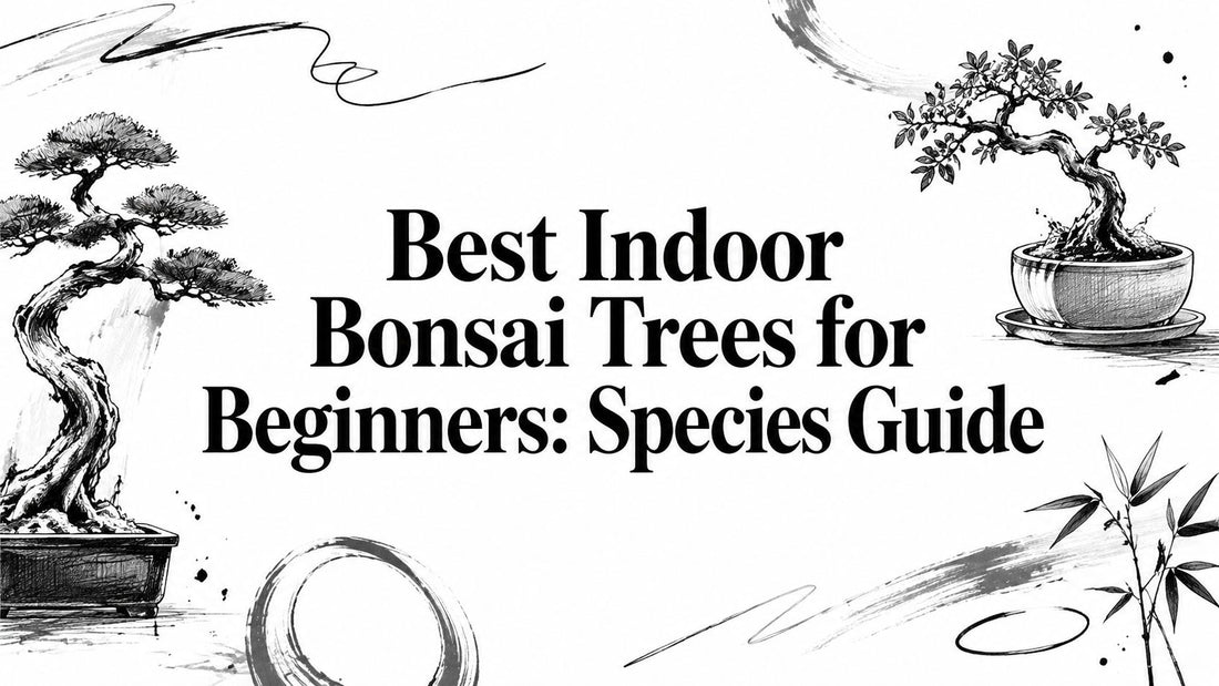 Best Indoor Bonsai Trees for Beginners: Species Guide