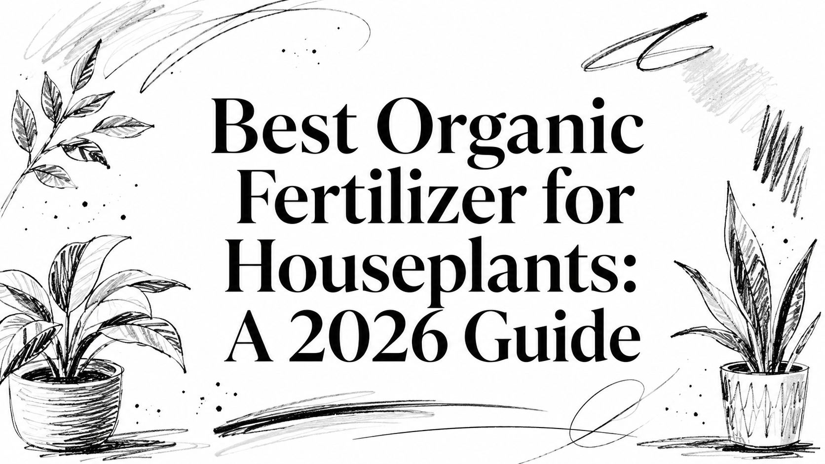 Best Organic Fertilizer for Houseplants: A 2026 Guide