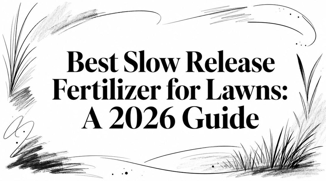 Best Slow Release Fertilizer for Lawns: A 2026 Guide