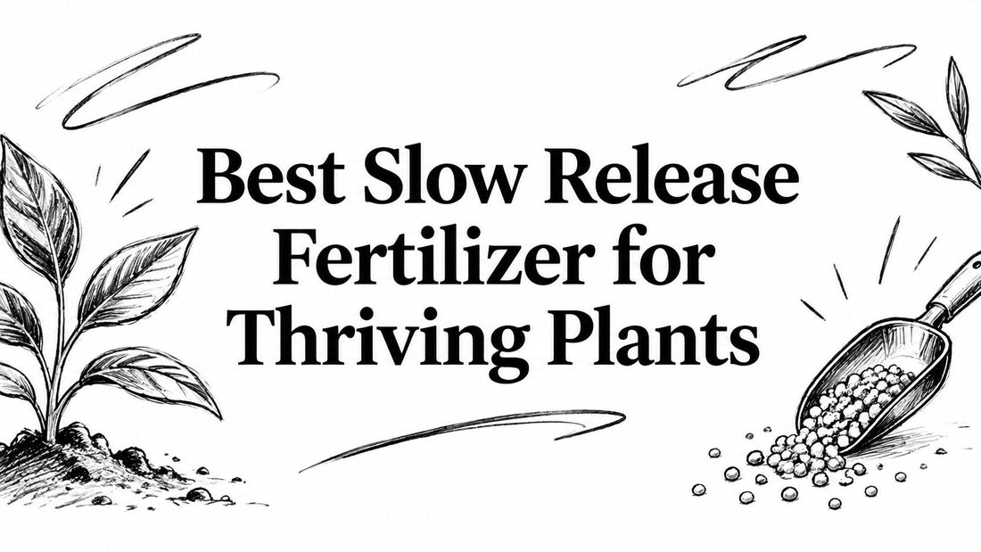 Best Slow Release Fertilizer for Thriving Plants