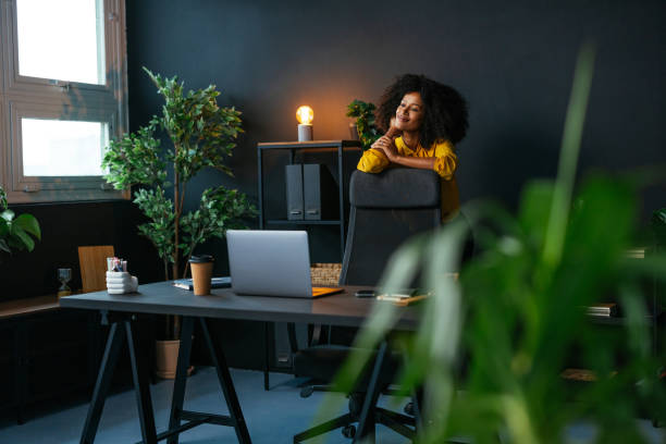 Desk Plants That Spark Focus, Creativity, and Calm