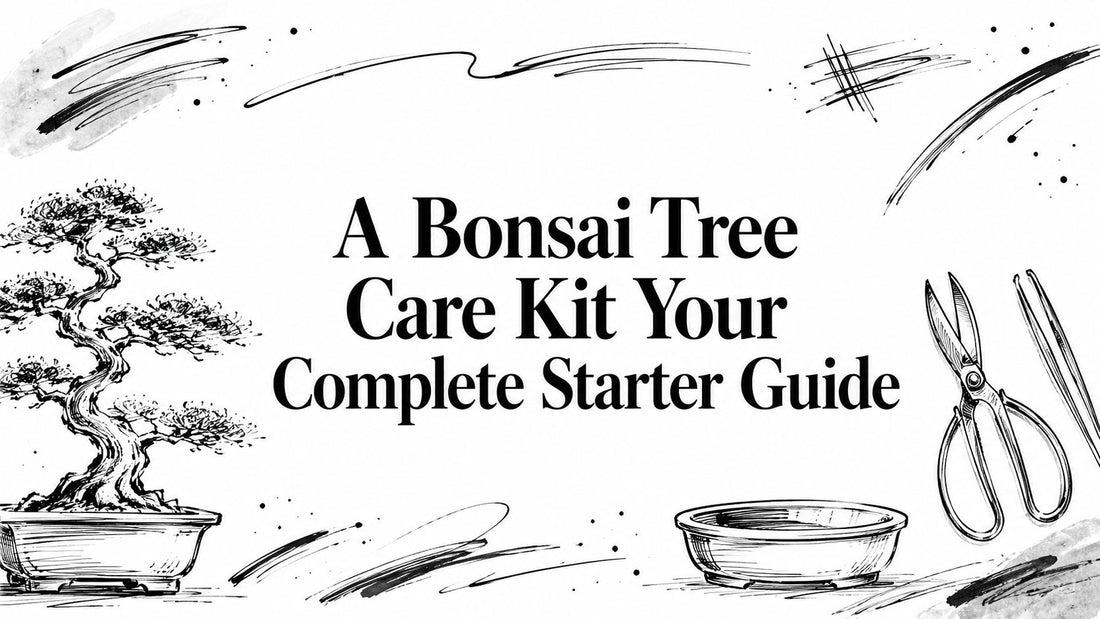 A Bonsai Tree Care Kit Your Complete Starter Guide