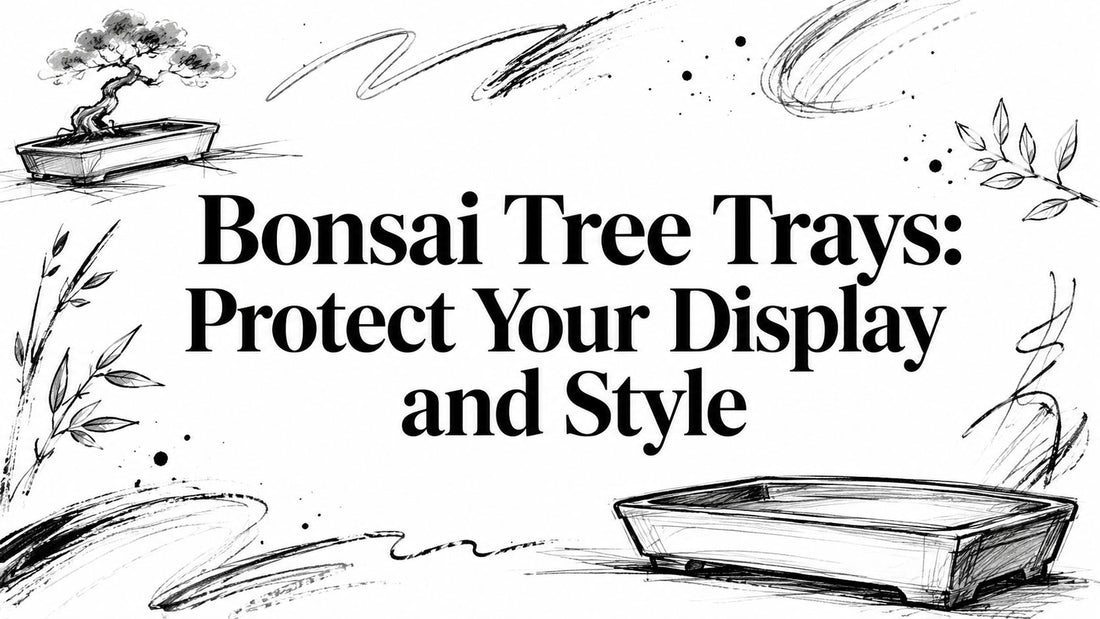 Bonsai Tree Trays: Protect Your Display and Style