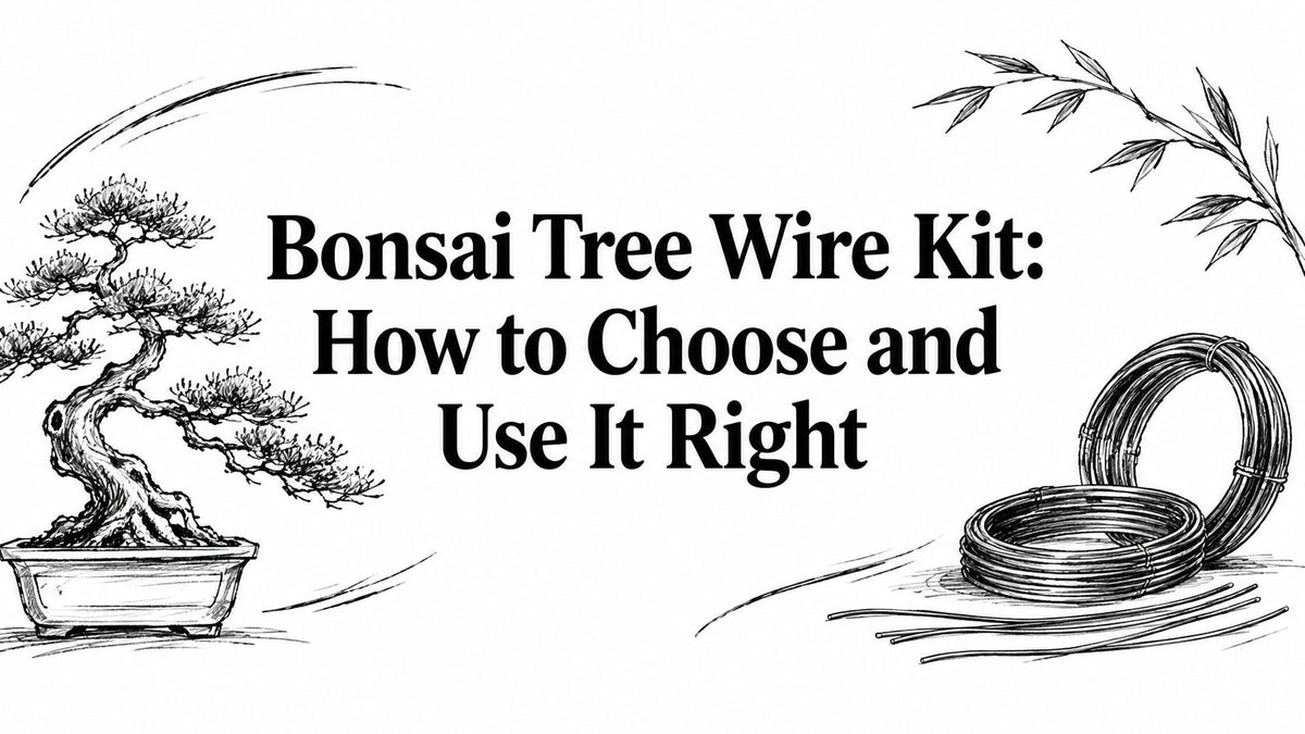 Bonsai Tree Wire Kit: How to Choose and Use It Right