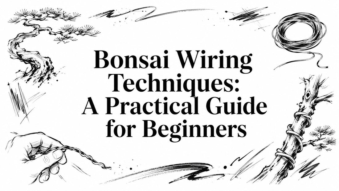 Bonsai Wiring Techniques: A Practical Guide for Beginners