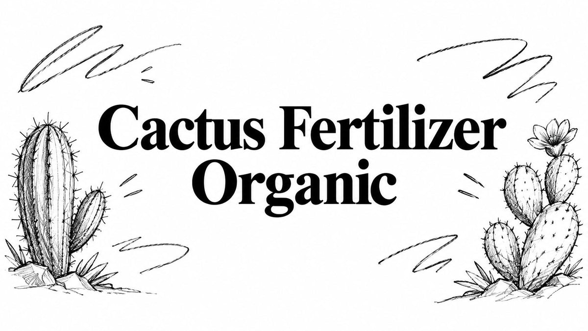 Cactus Fertilizer Organic