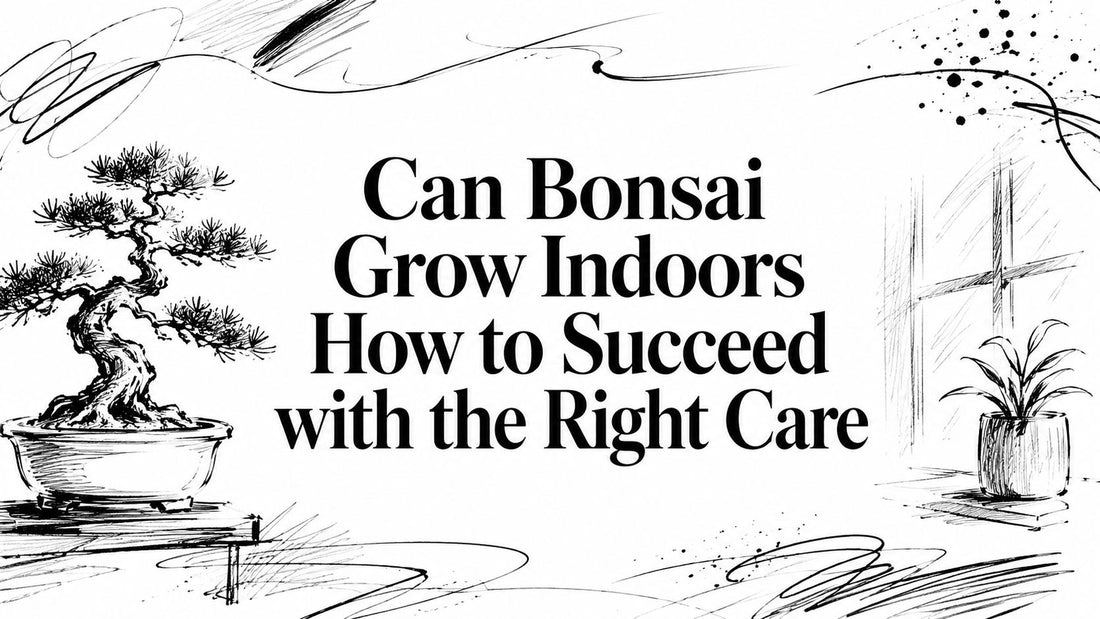 Can Bonsai Grow Indoors How to Succeed with the Right Care