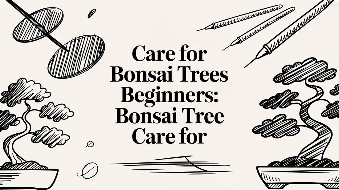 Care for Bonsai Trees Beginners: Bonsai Tree Care For