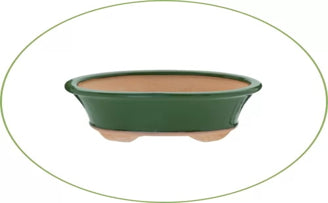 Ceramic vs Glass vs Plastic Bonsai Pots (Why Ceramic is Better)