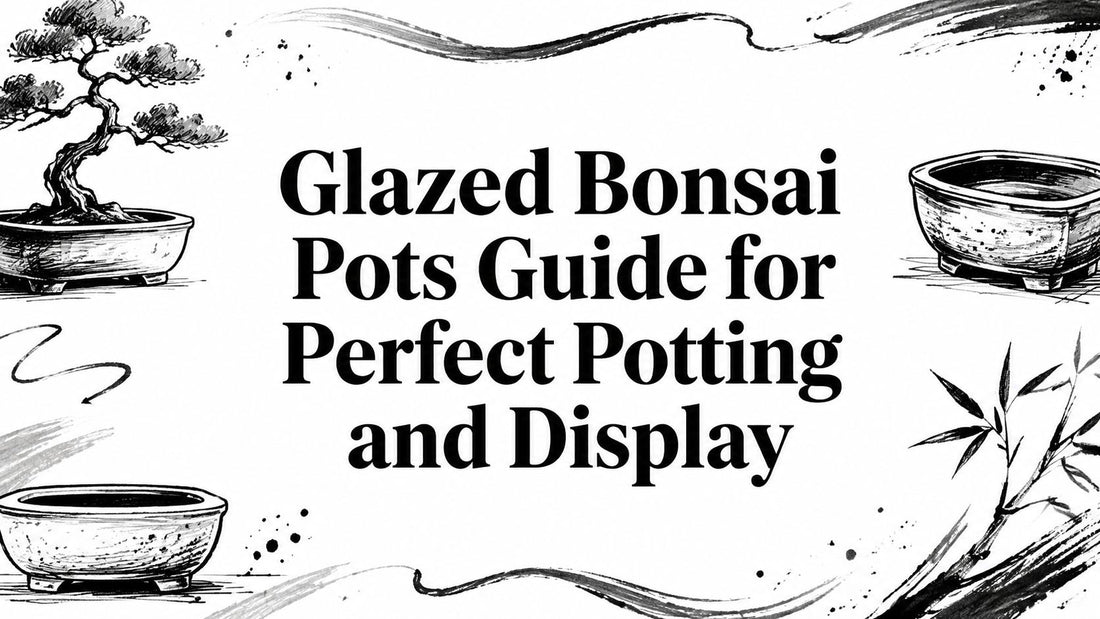 Glazed Bonsai Pots Guide for Perfect Potting and Display