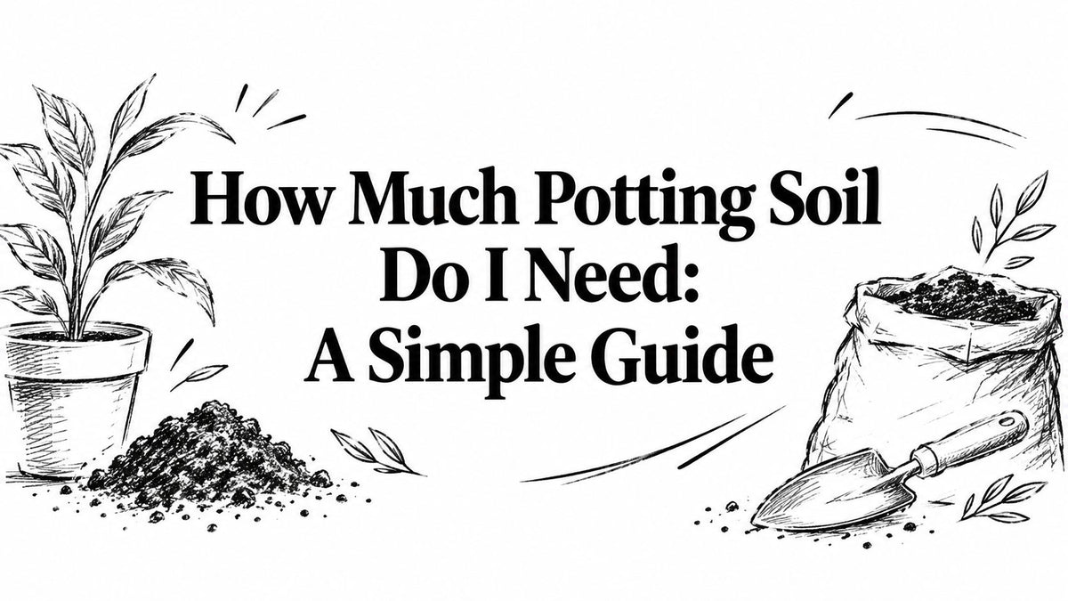How Much Potting Soil Do I Need: A Simple Guide