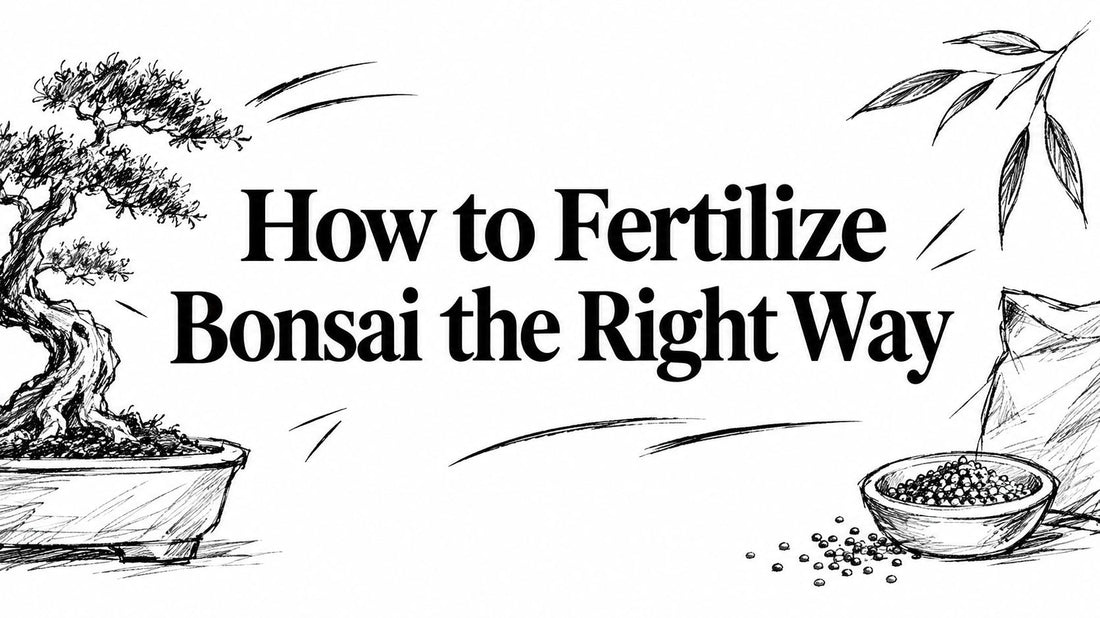 How to Fertilize Bonsai the Right Way