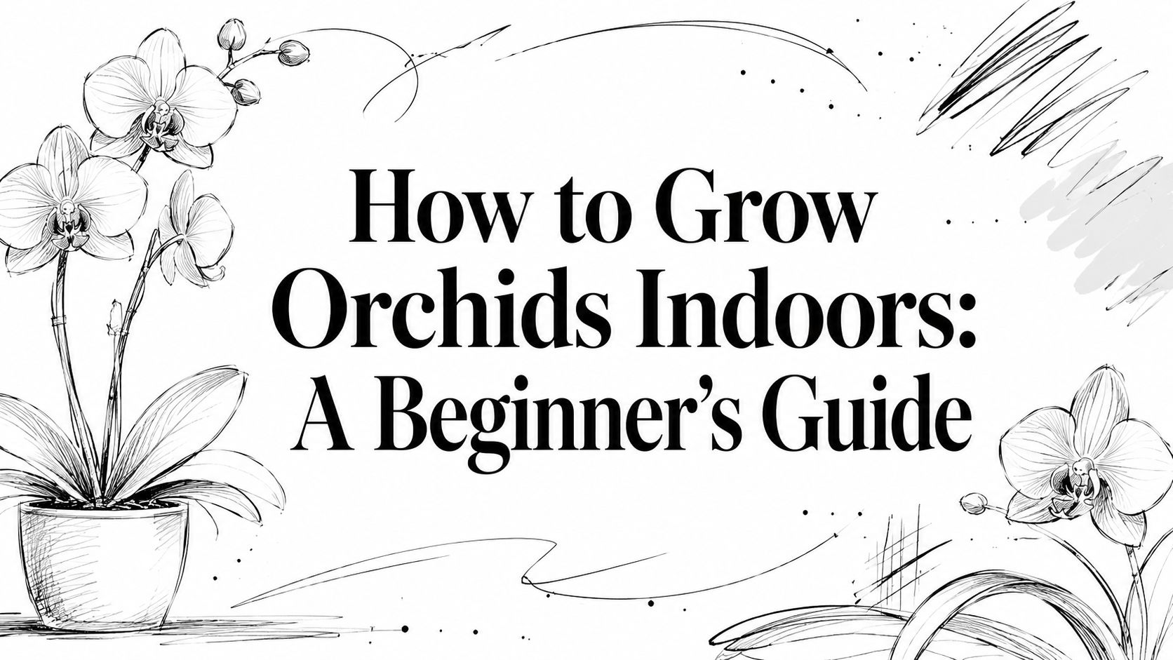 How to Grow Orchids Indoors: A Beginner's Guide