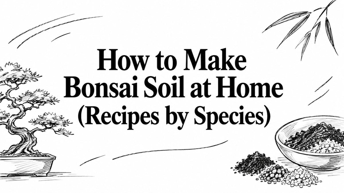 How to Make Bonsai Soil at Home (Recipes by Species)