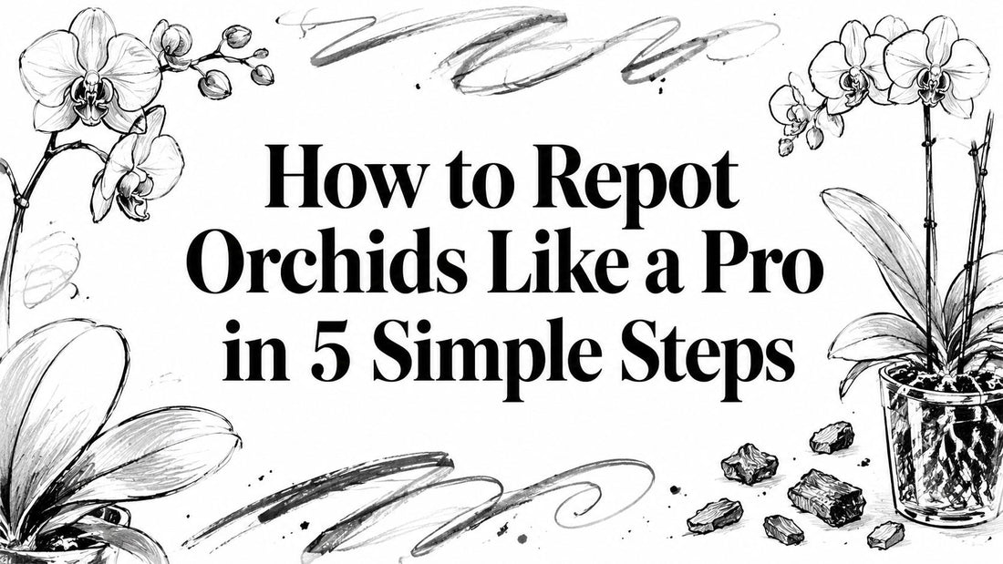 How to Repot Orchids Like a Pro in 5 Simple Steps