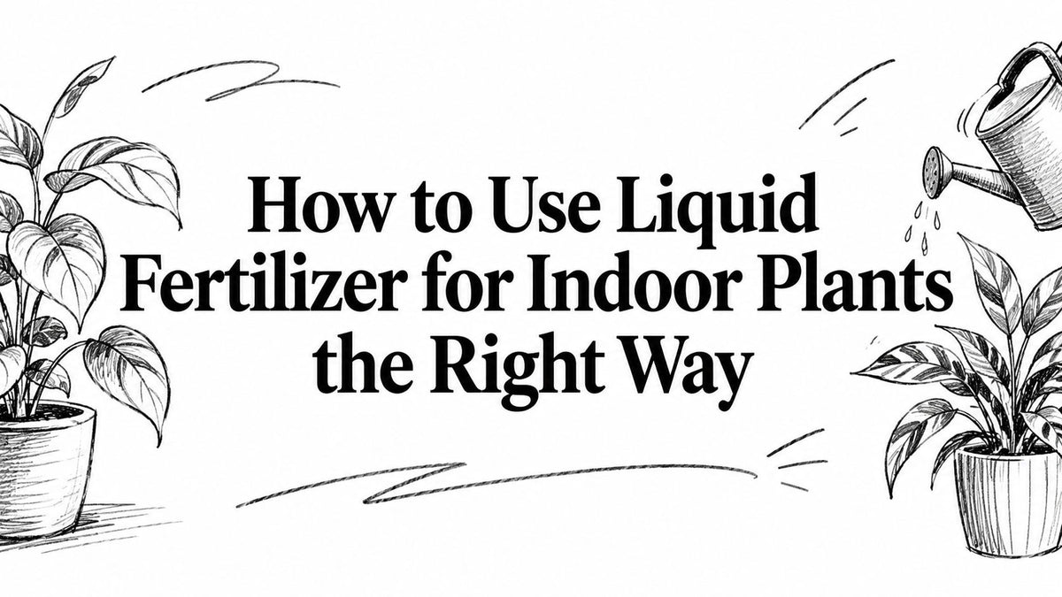How to Use Liquid Fertilizer for Indoor Plants the Right Way