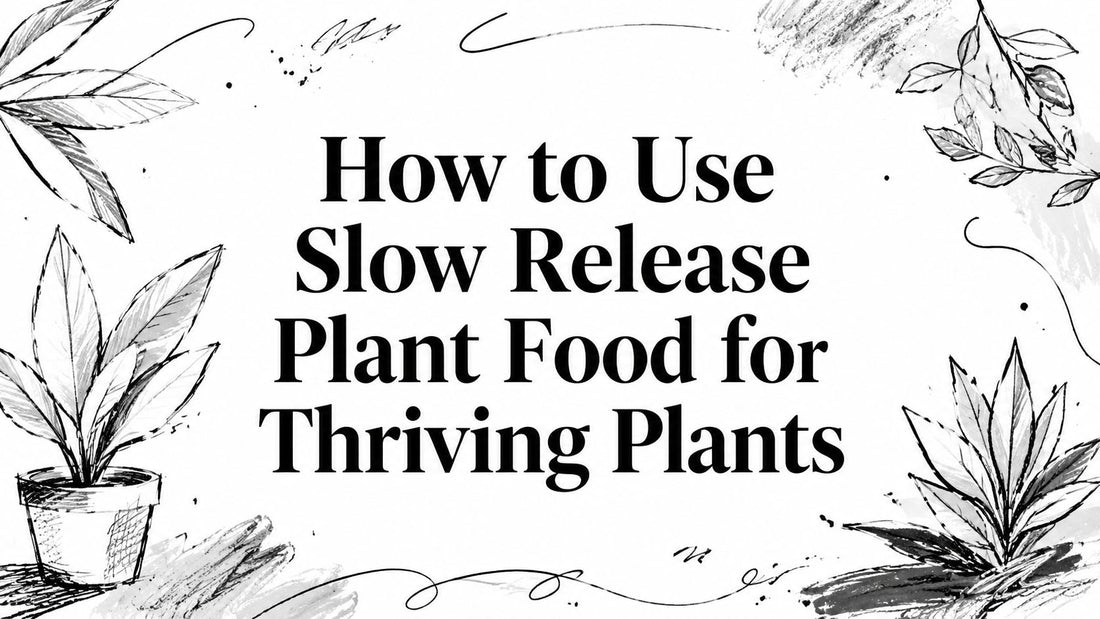 How to Use Slow Release Plant Food for Thriving Plants