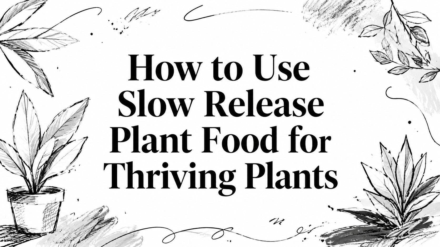 How to Use Slow Release Plant Food for Thriving Plants