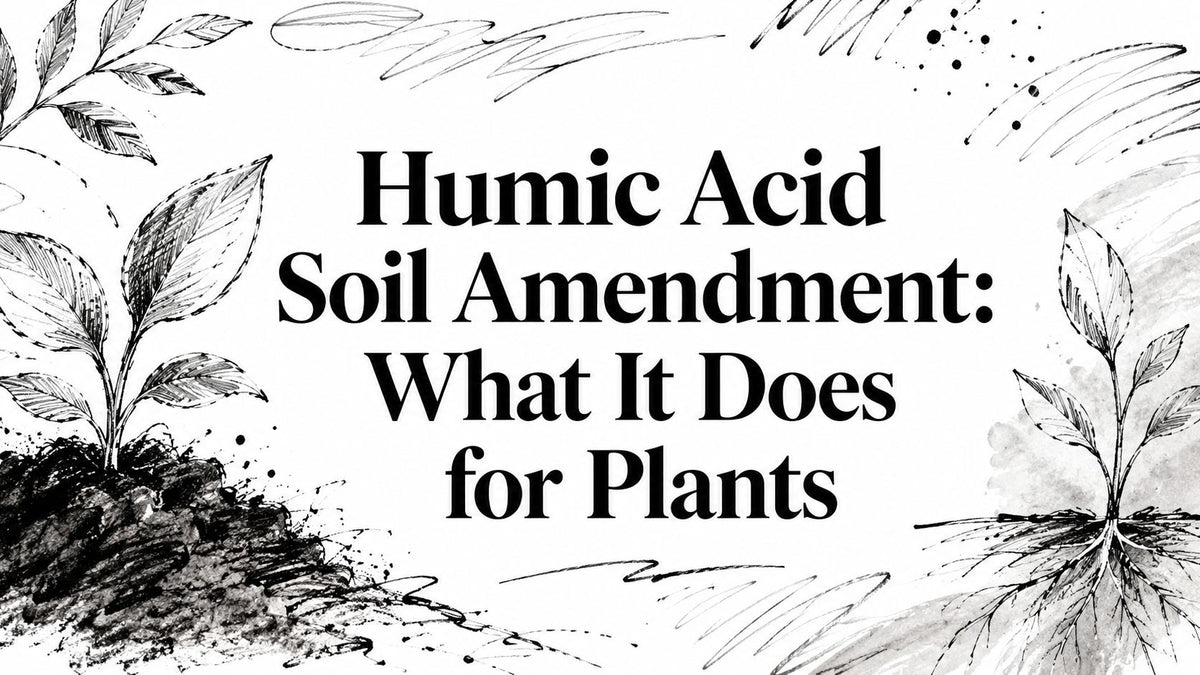 Humic Acid Soil Amendment: What It Does for Plants