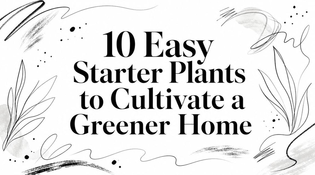 10 Easy Starter Plants to Cultivate a Greener Home