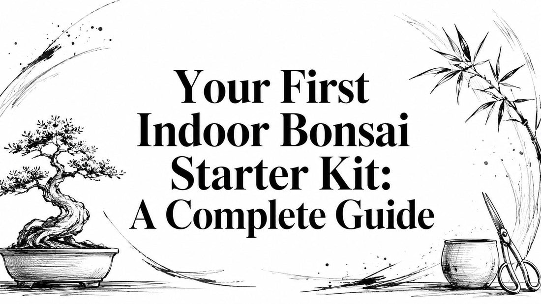 Your First Indoor Bonsai Starter Kit: A Complete Guide