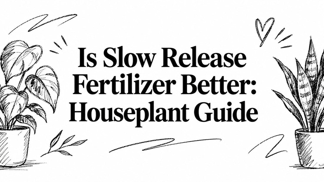 Is Slow Release Fertilizer Better: Houseplant Guide