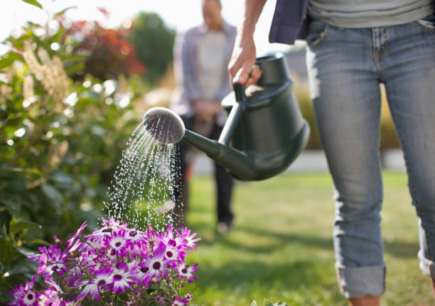 The Best Time of Day to Water Your Plants (and Why It Matters)
