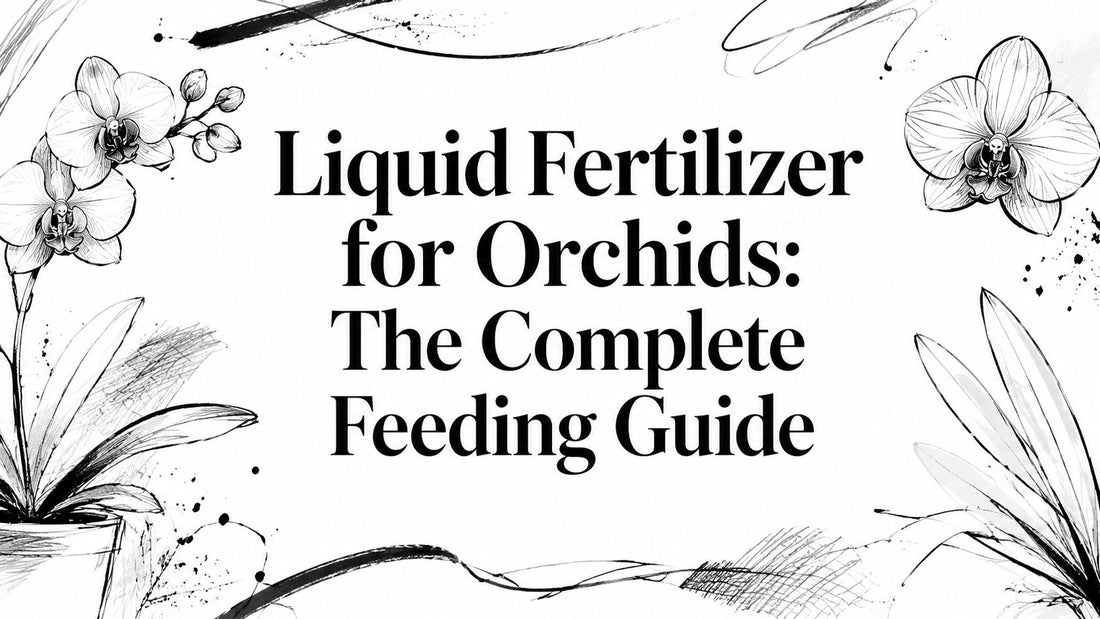 Liquid Fertilizer for Orchids: The Complete Feeding Guide