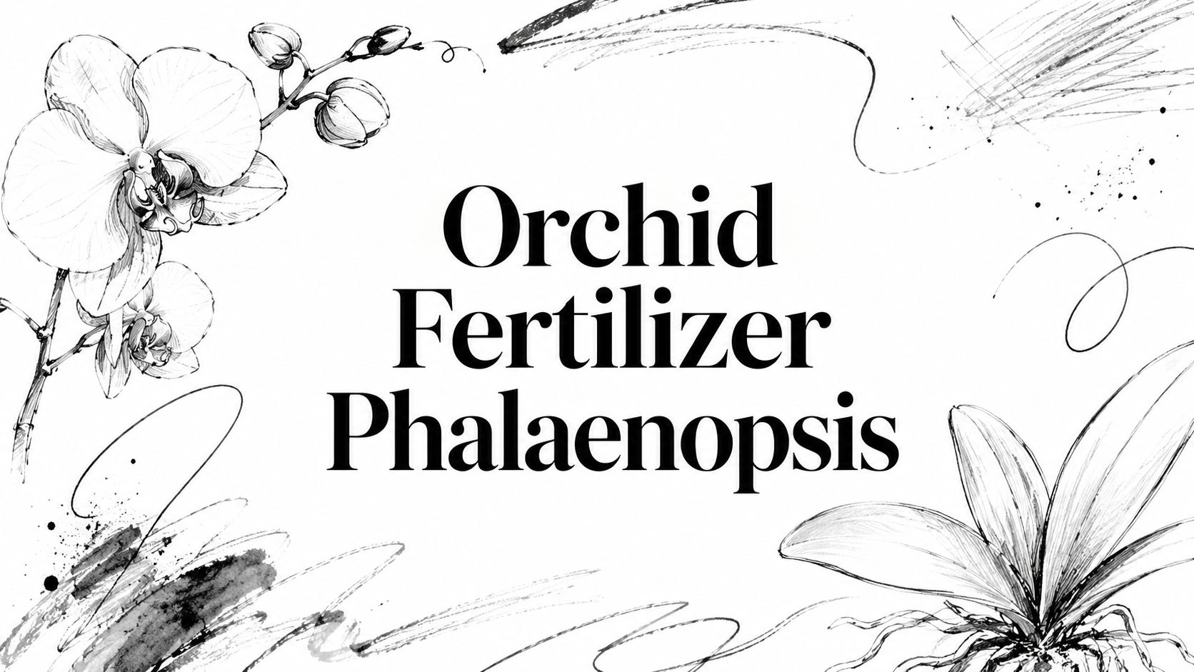 Orchid Fertilizer Phalaenopsis