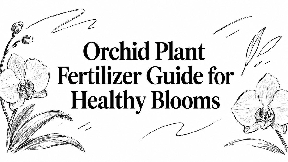 Orchid Plant Fertilizer Guide for Healthy Blooms