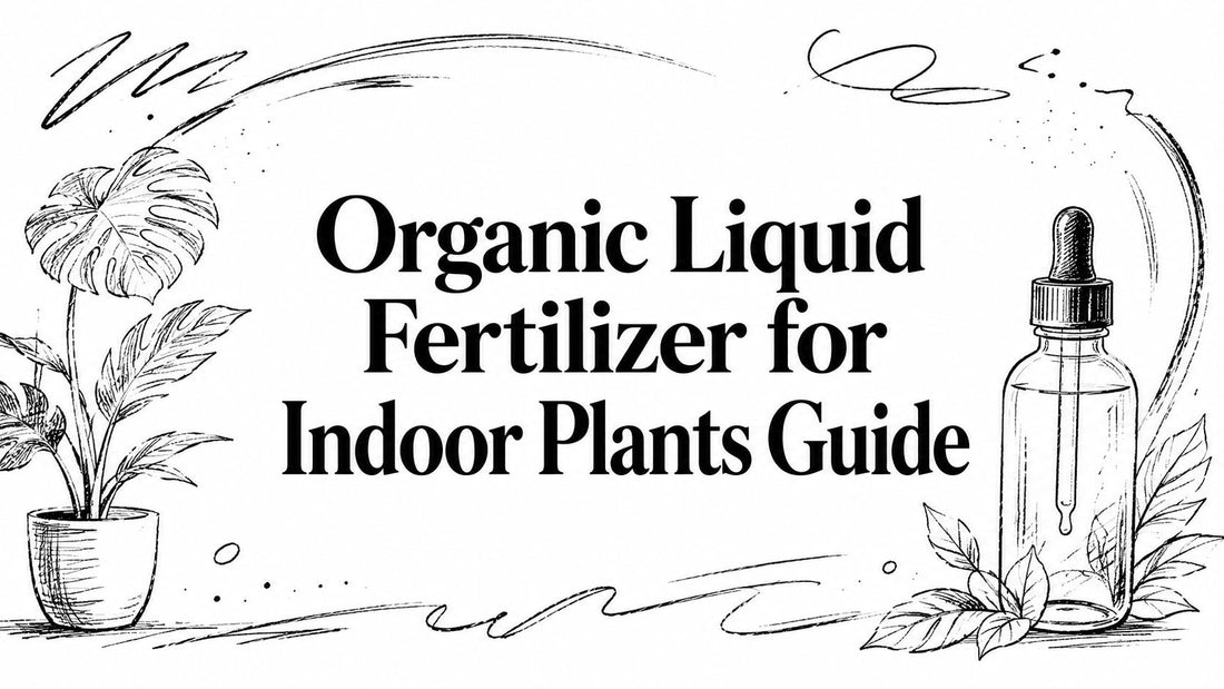 Organic Liquid Fertilizer for Indoor Plants Guide