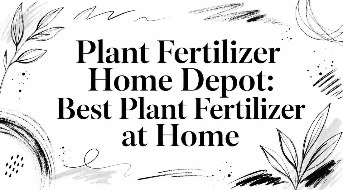Plant Fertilizer Home Depot: Best Plant Fertilizer at Home