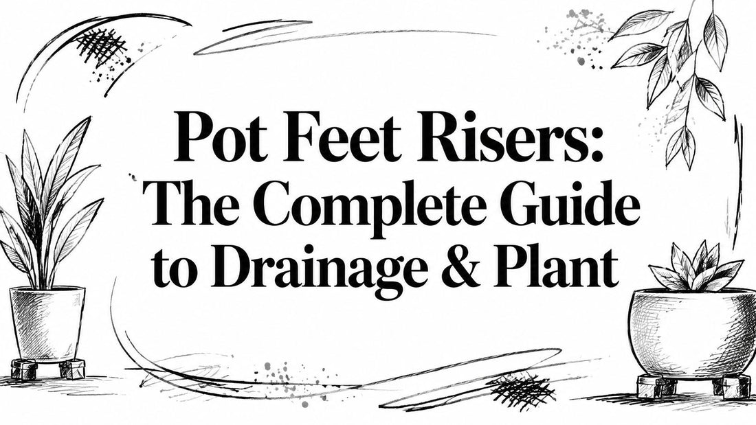 Pot Feet Risers: The Complete Guide to Drainage & Plant