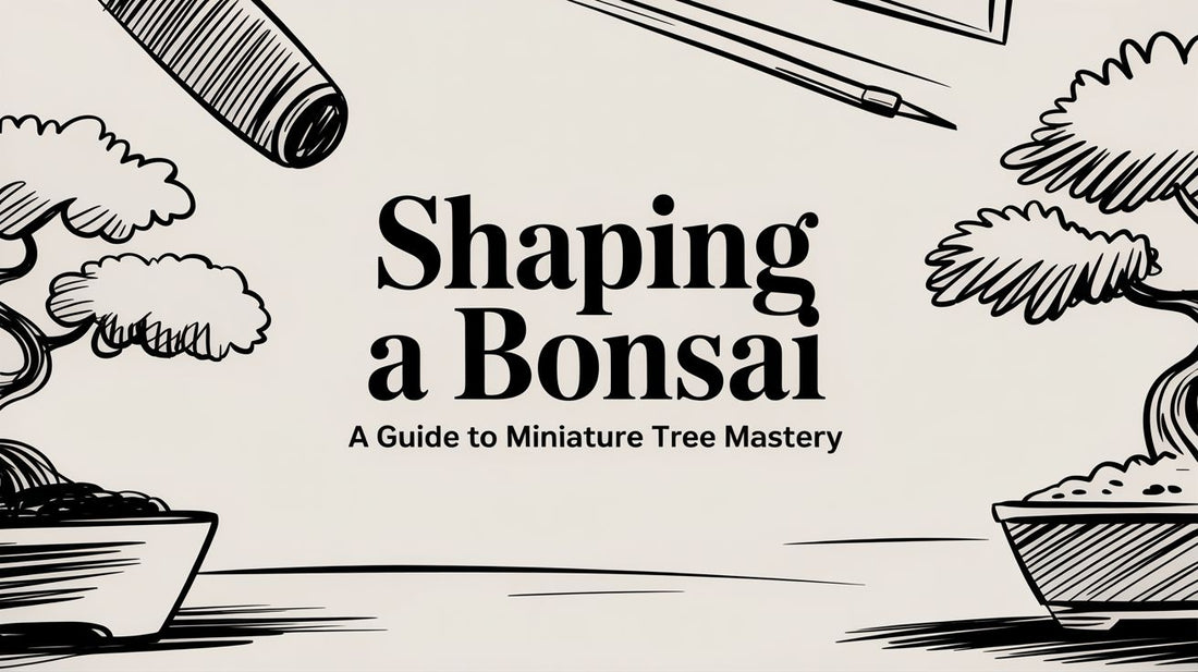 Shaping a Bonsai A Guide to Miniature Tree Mastery