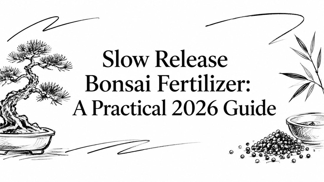 Slow Release Bonsai Fertilizer: A Practical 2026 Guide