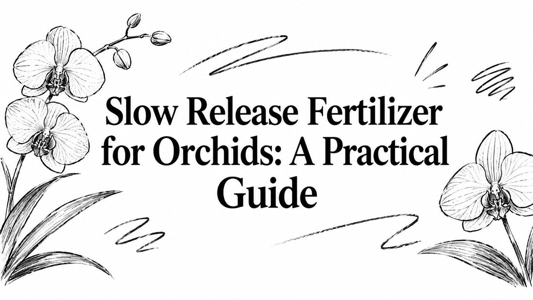 Slow Release Fertilizer for Orchids: A Practical Guide