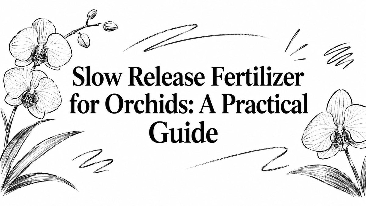 Slow Release Fertilizer for Orchids: A Practical Guide