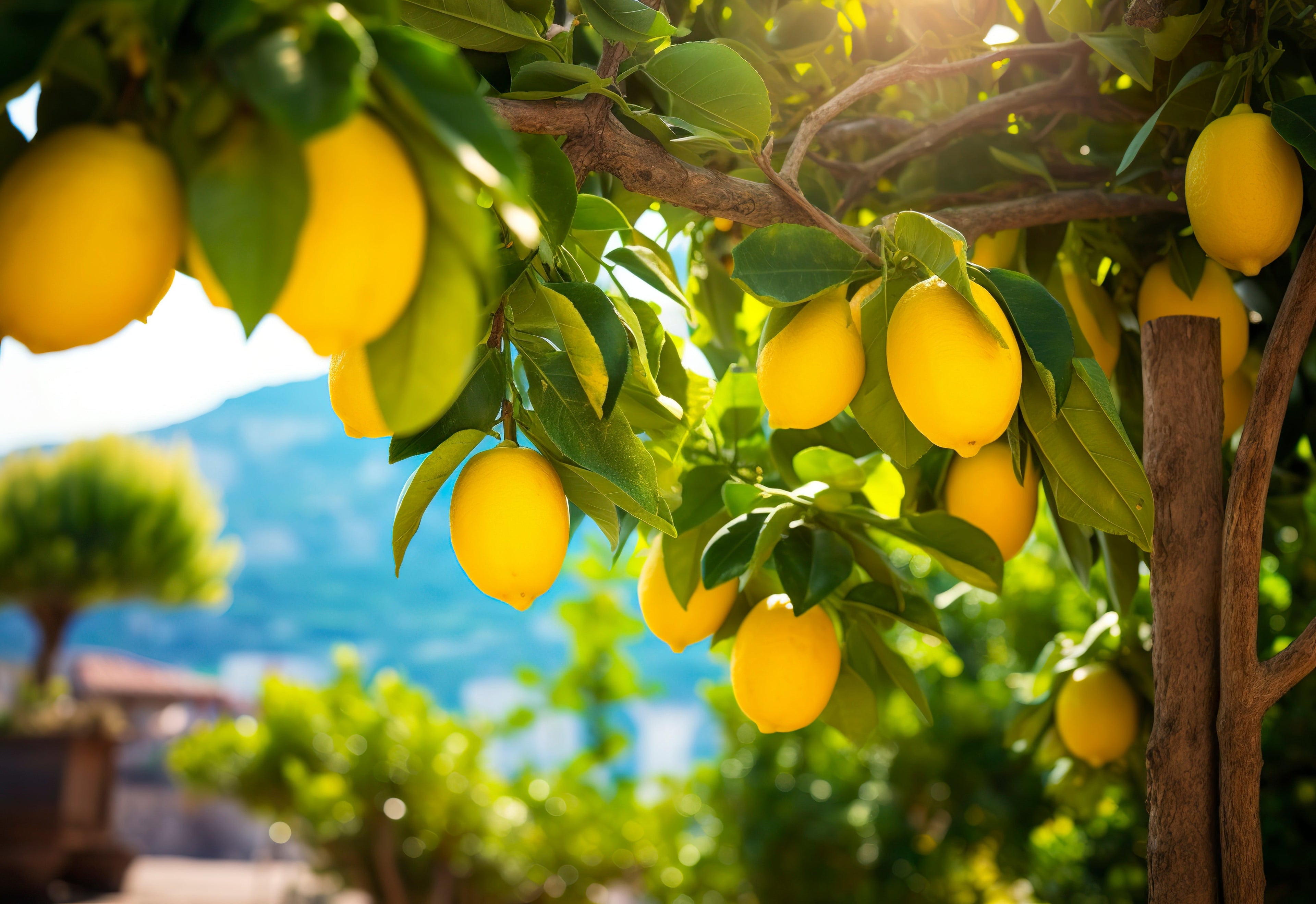 Why You Need a Specific Fertilizer for Lemon Trees
