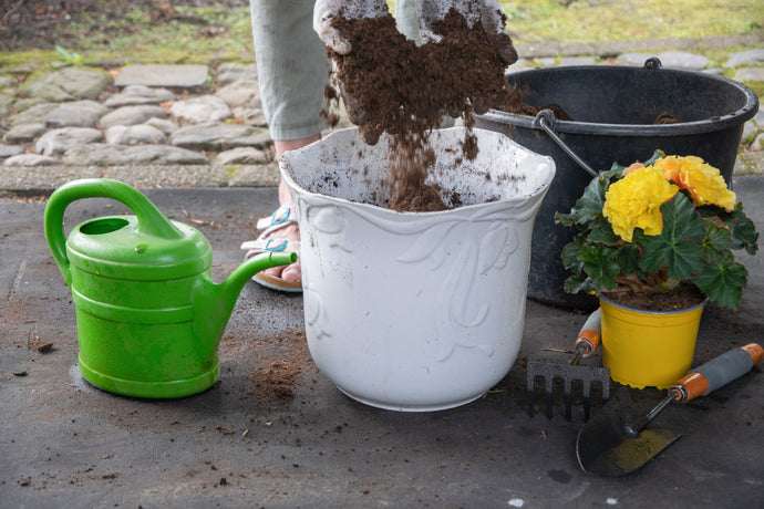 The Most Common Soil Mistakes New Plant Parents Make