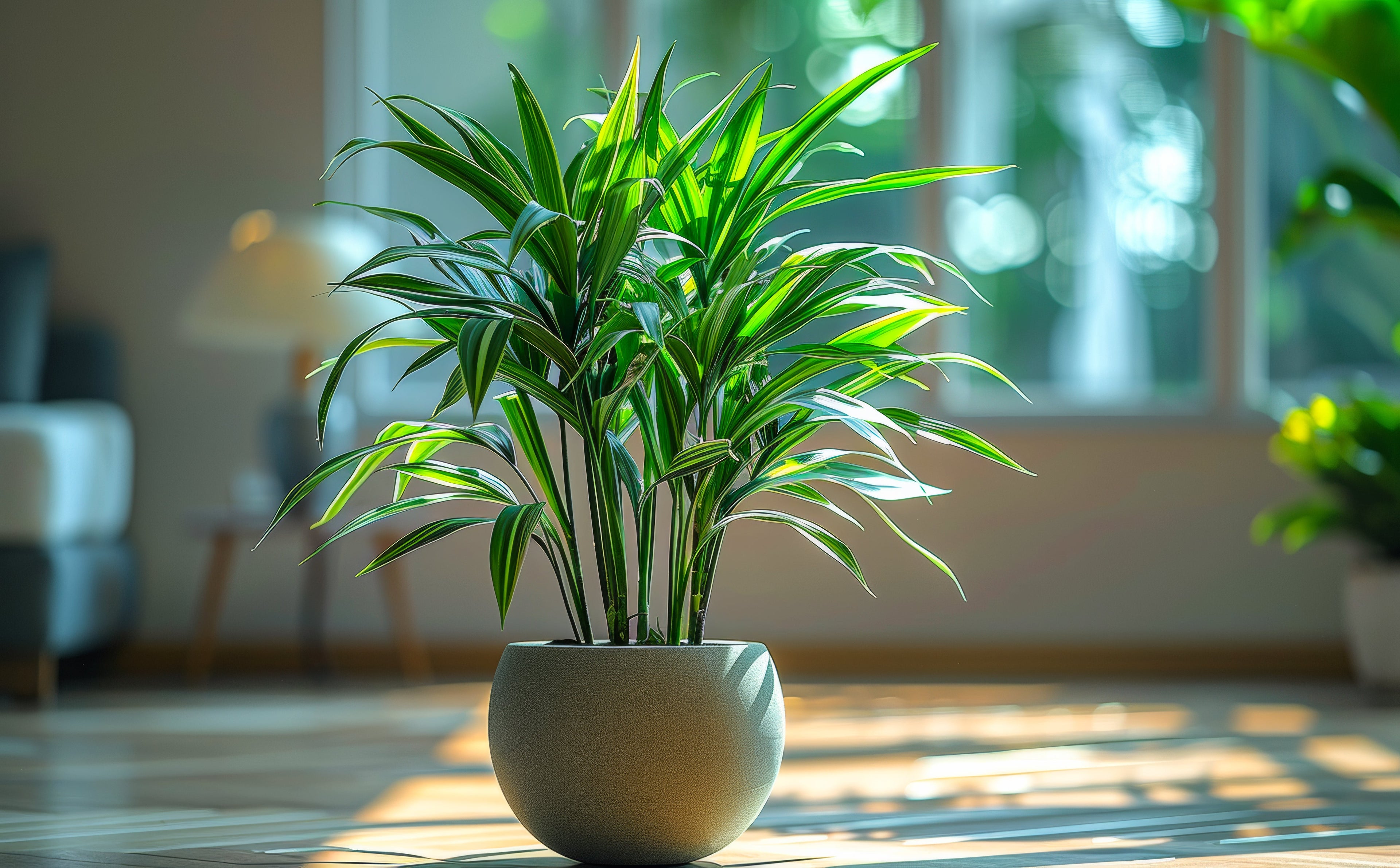 5 Indoor Plants That Practically Water Themselves
